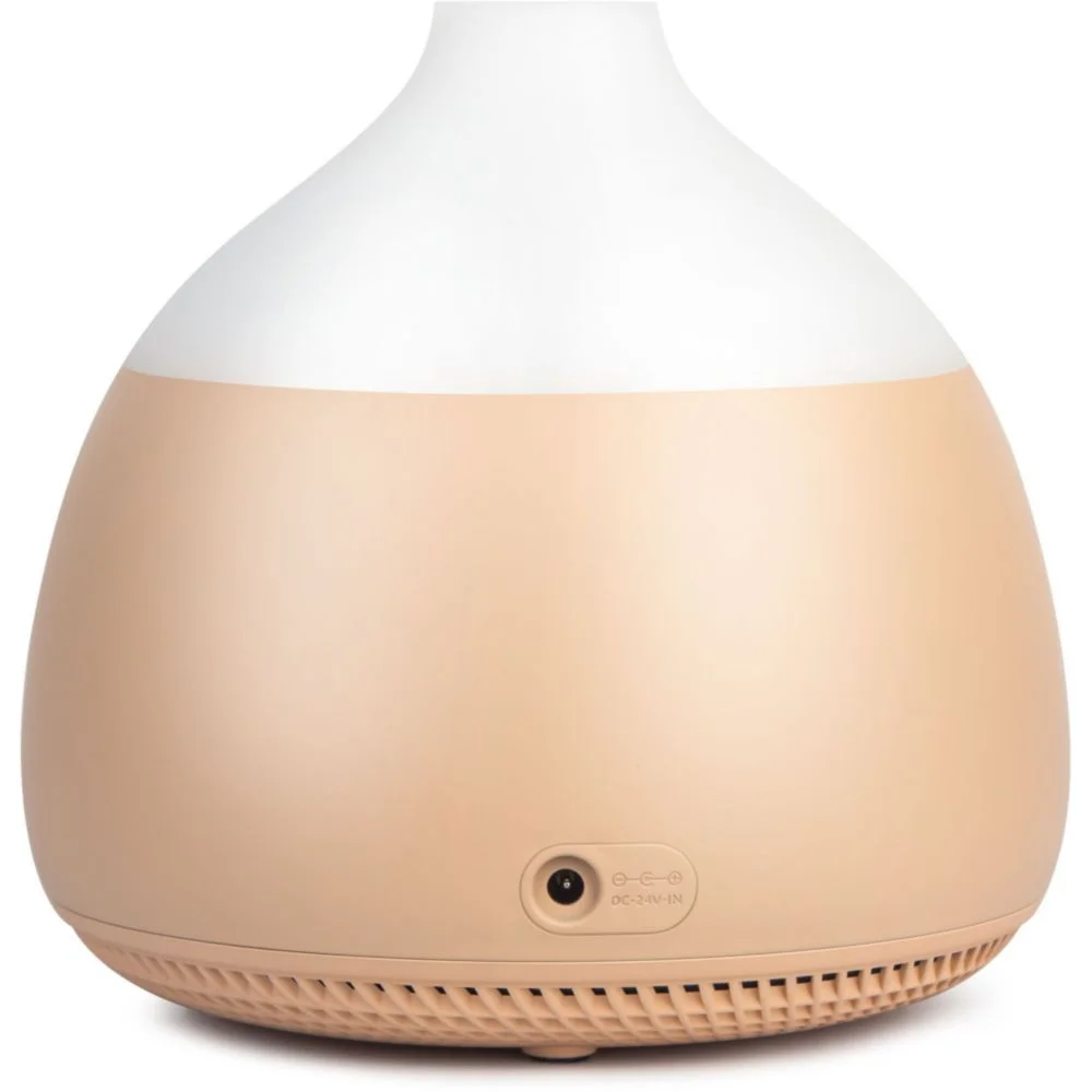 B8010025_3