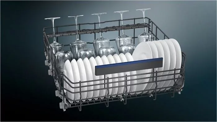 12006842_5