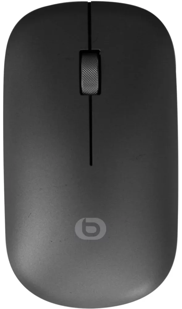 B8010838_2