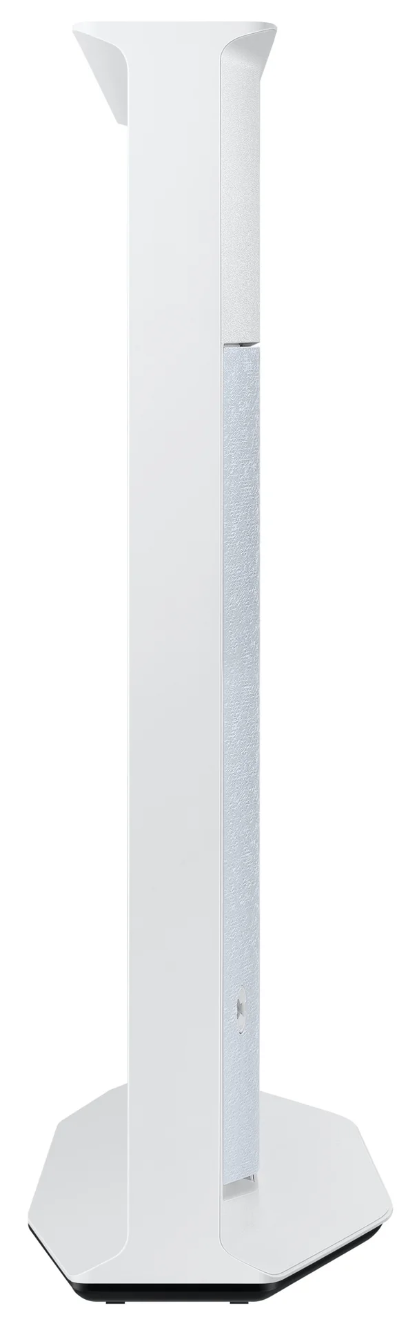 31002989_4
