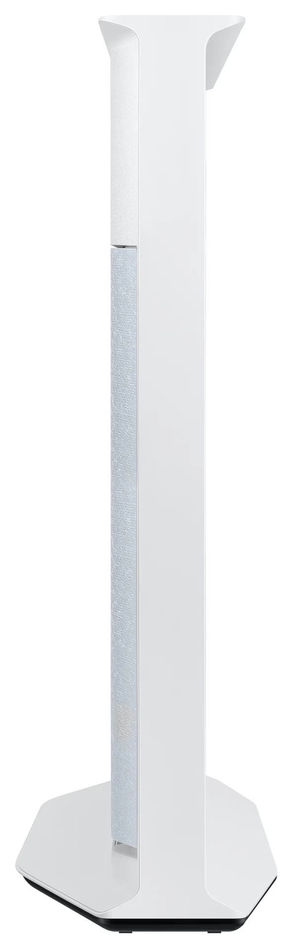 31002989_5