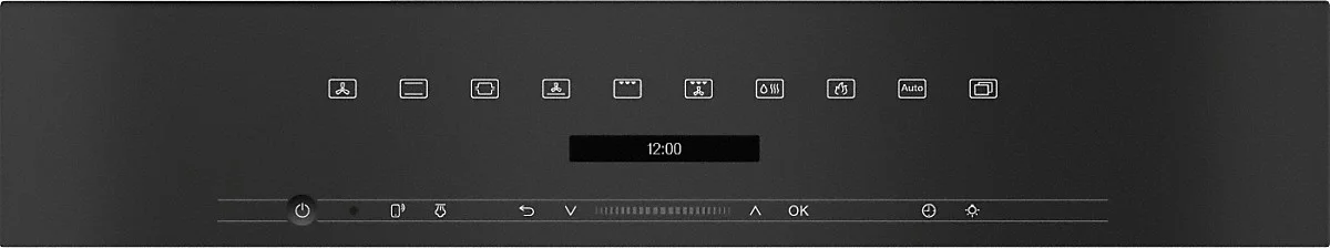 12004187_1