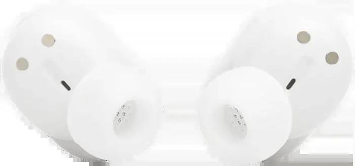 33005283_2
