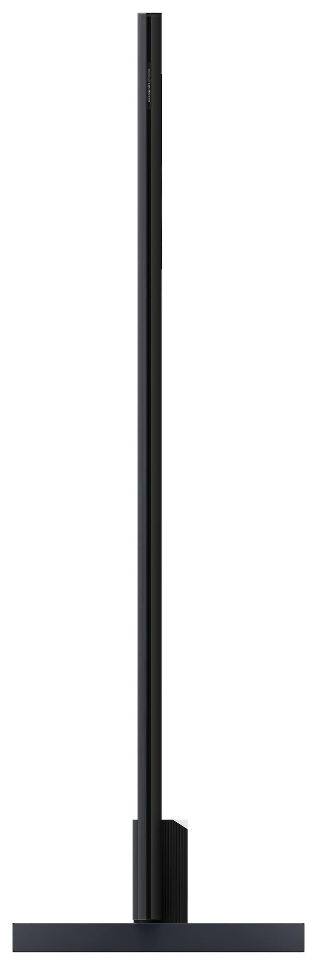 31003243_4
