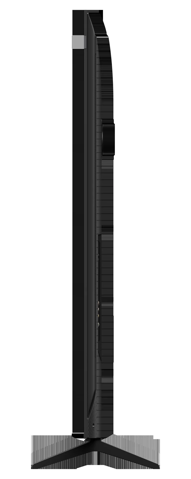 31003269_2