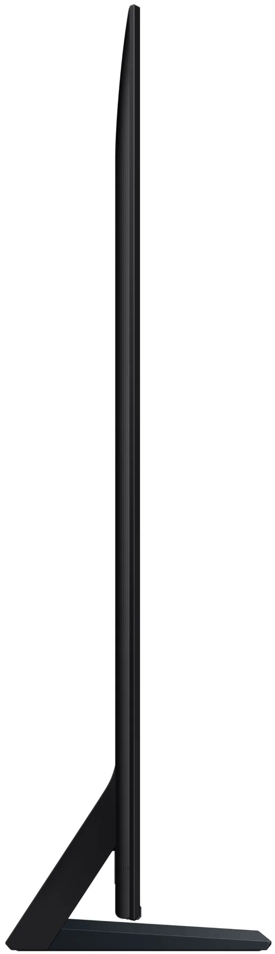 31003198_4