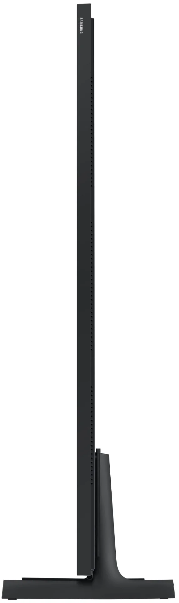 31003231_5