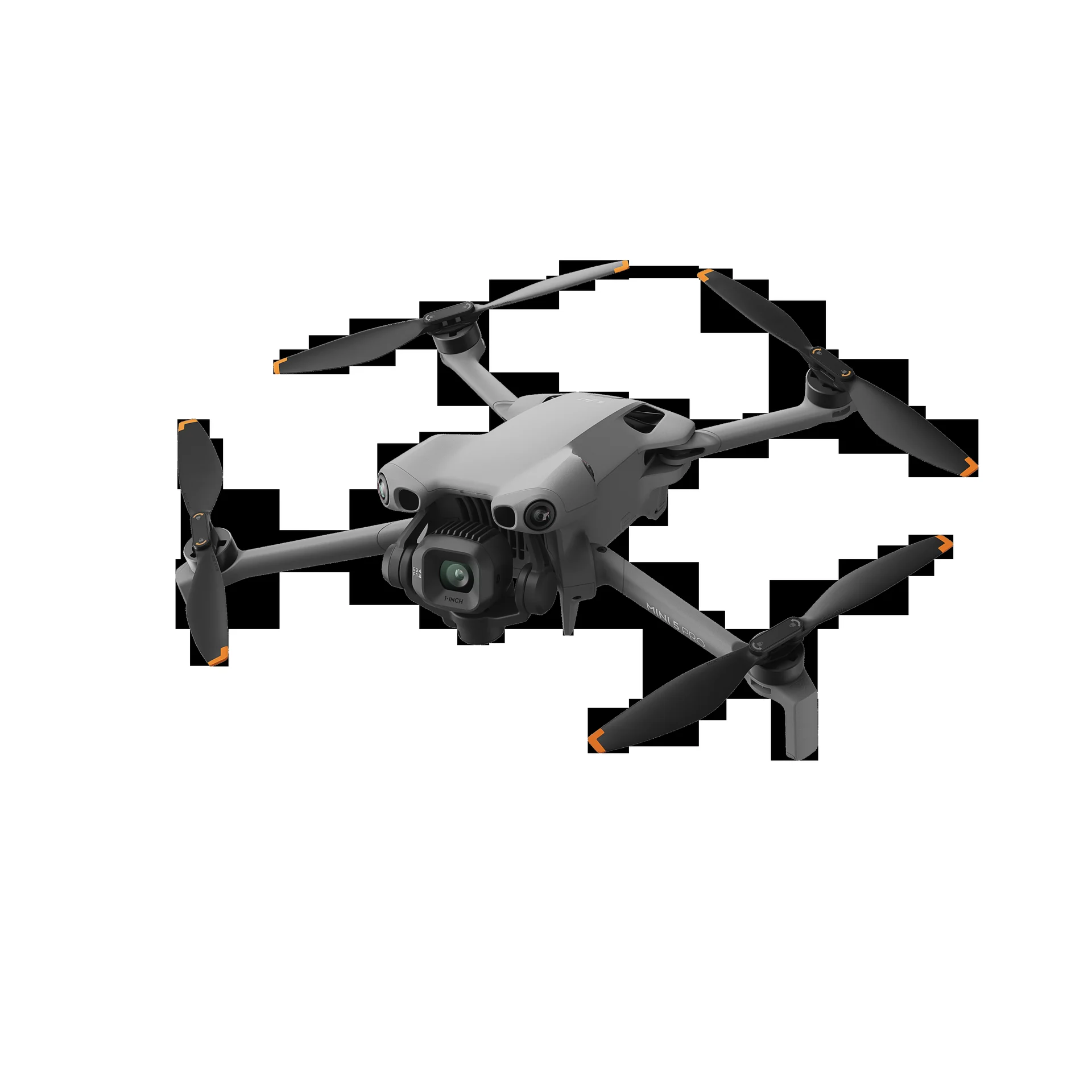 43001343_1
