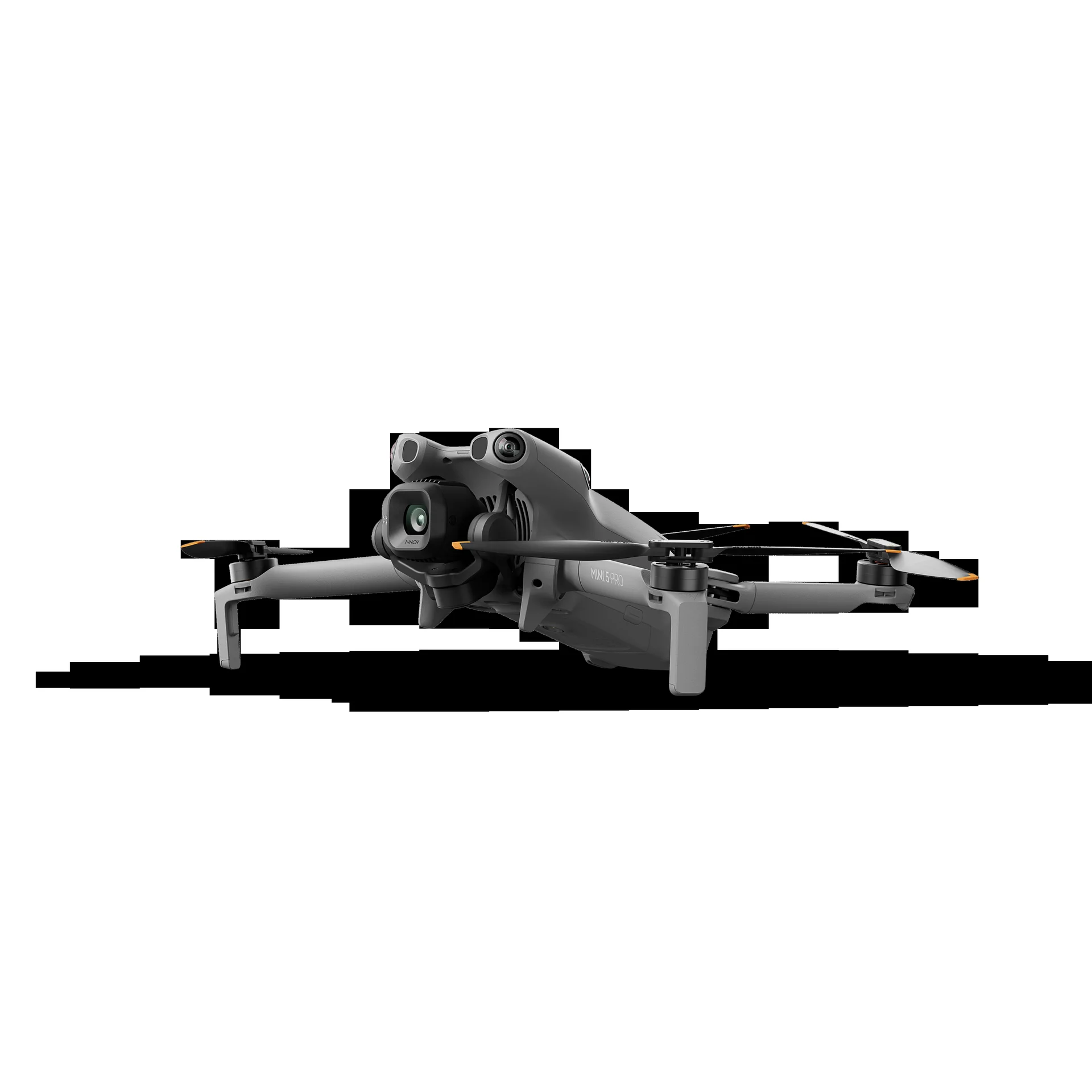 43001343_10