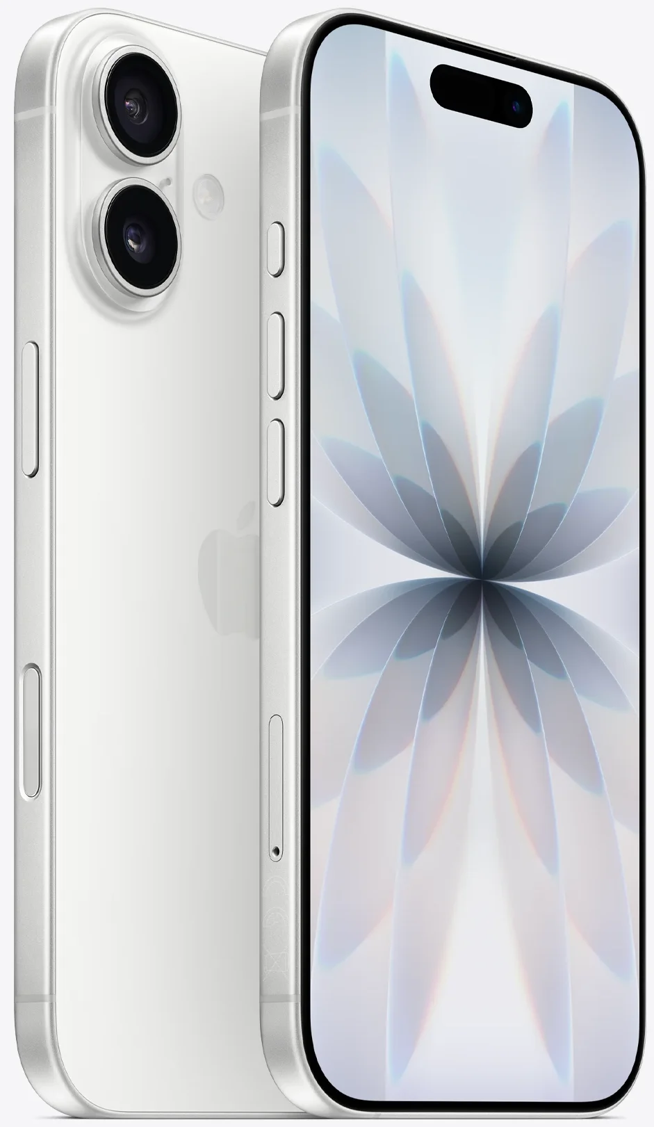 51007506_1