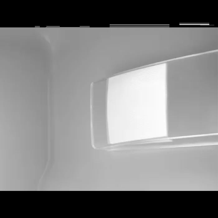 12007828_3