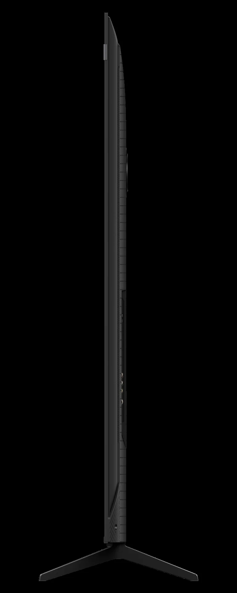 31003454_5