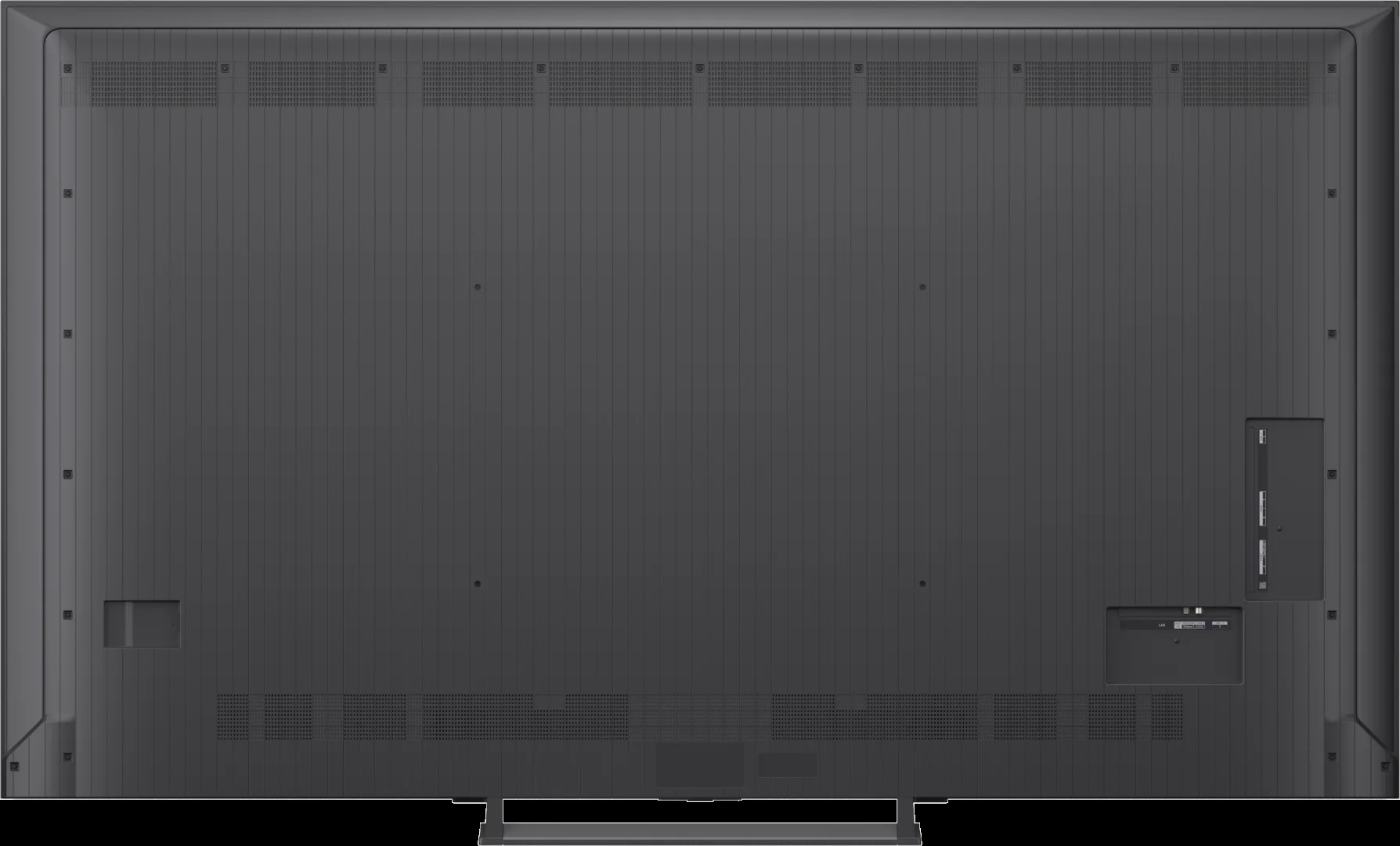 31005850_4