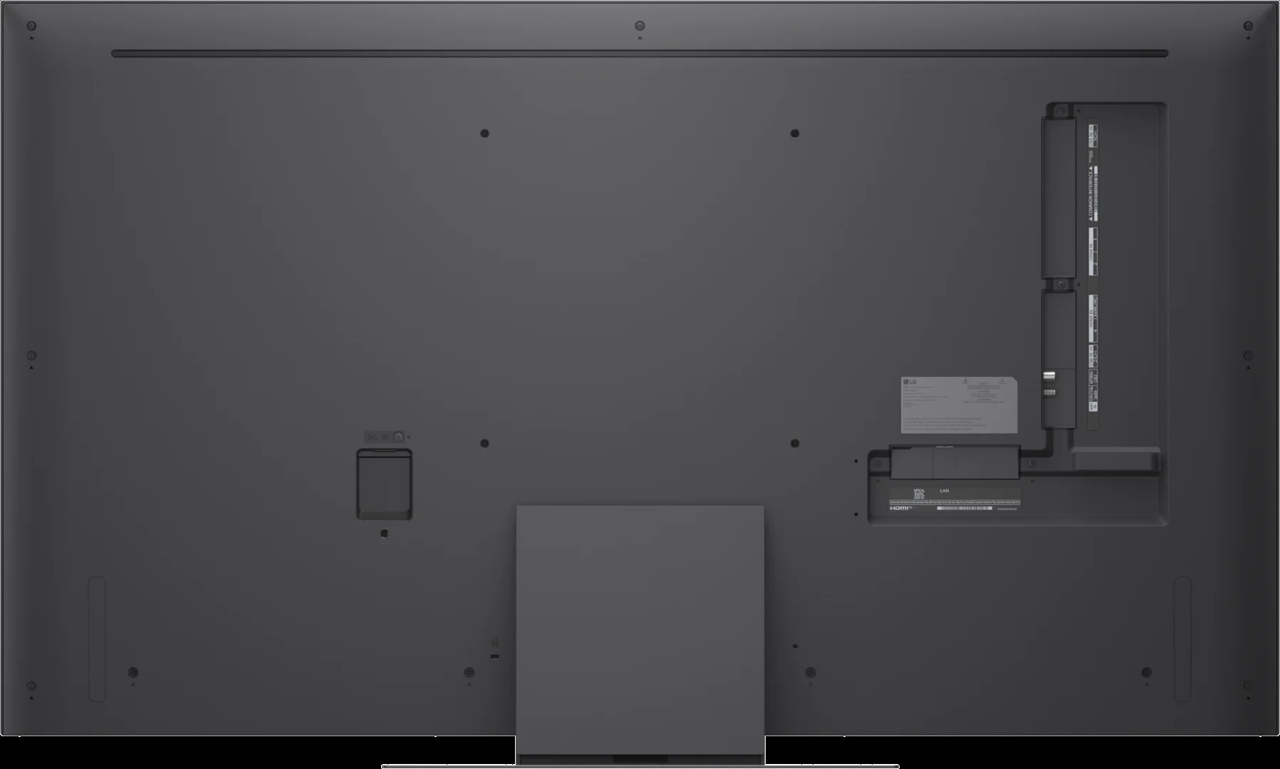 31005854_5