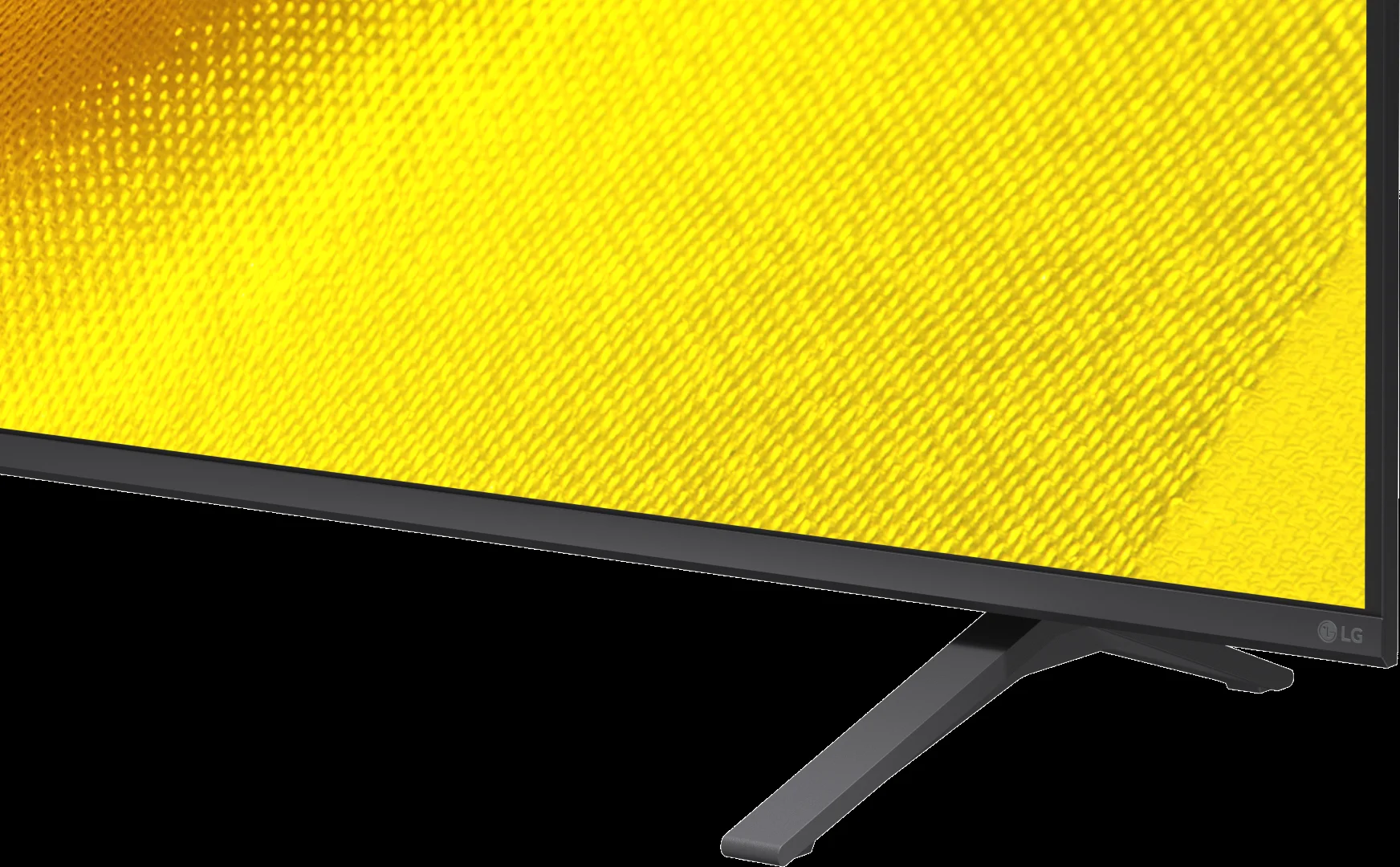 31005864_2