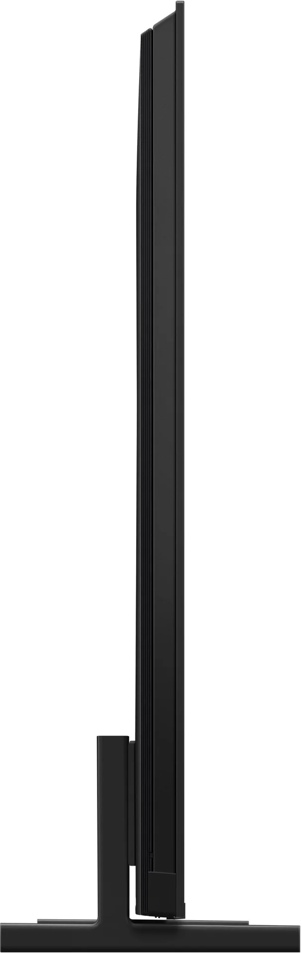 31005885_3