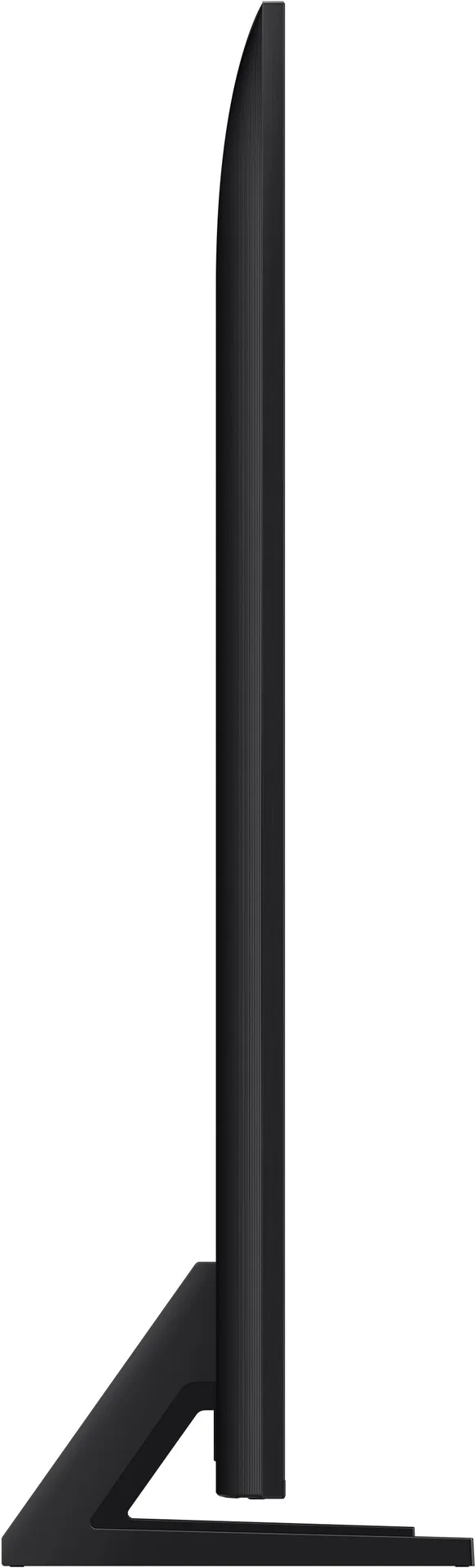 31005889_3
