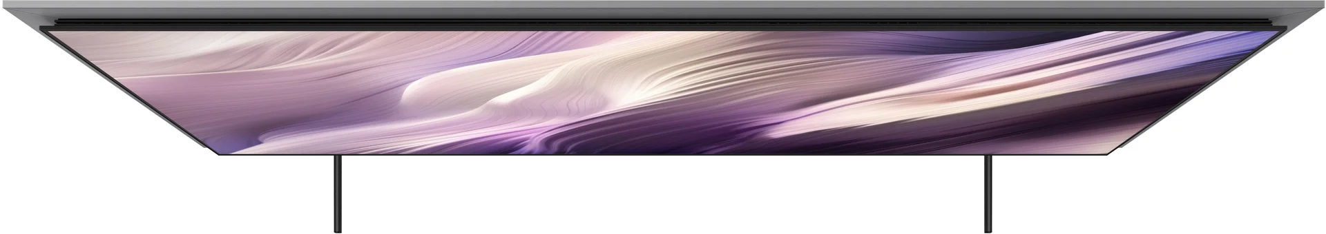 31005895_5