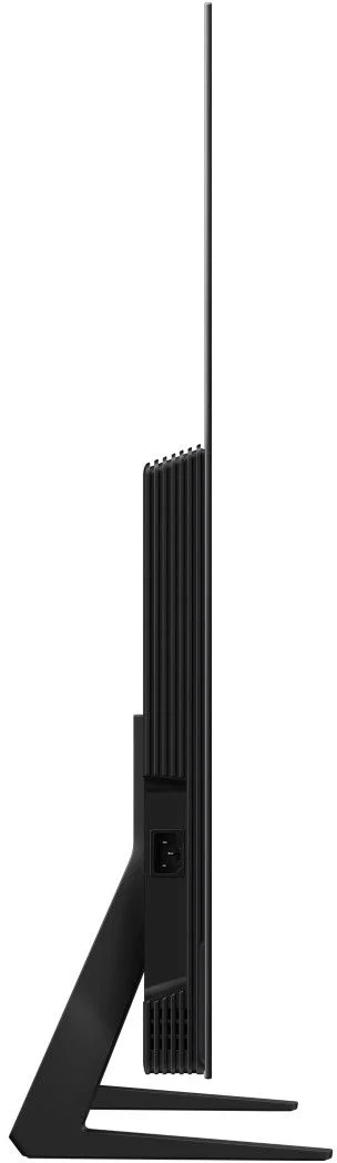 31005904_3