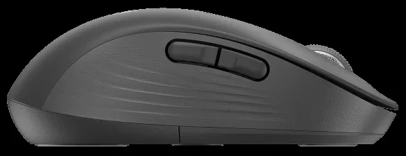 62008239_4
