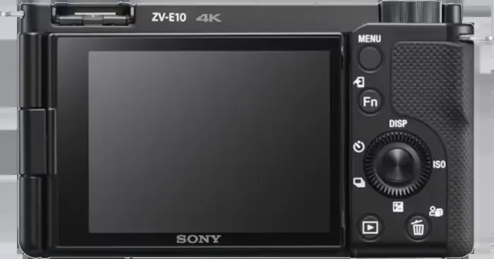 42000933_1