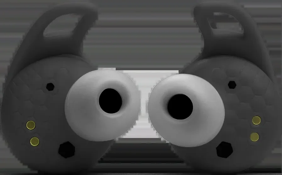 33004476_1