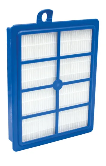 AEG Filtre lavable Anti Allergy AFS1W