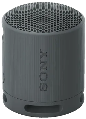 SONY Enceinte Bluetooth SRS-XB100/B - Noir