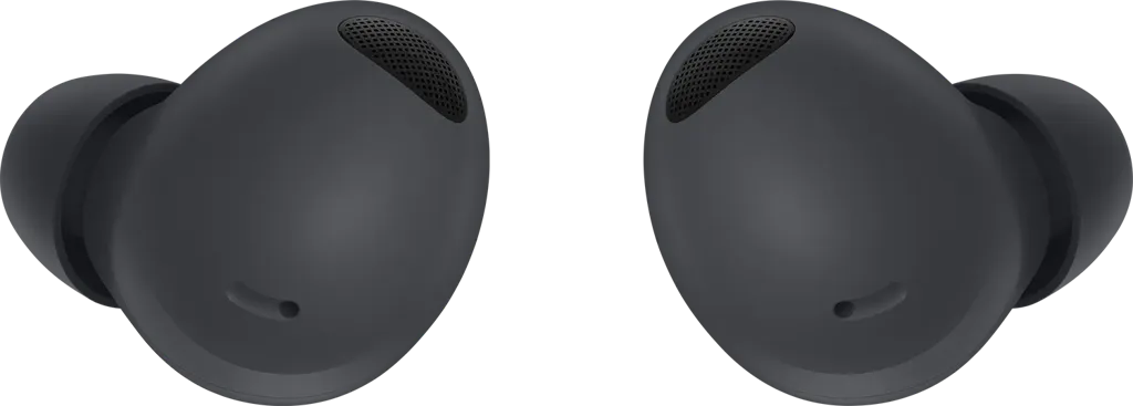 SAMSUNG Écouteurs sans fil Galaxy Buds2 Pro  - Graphite