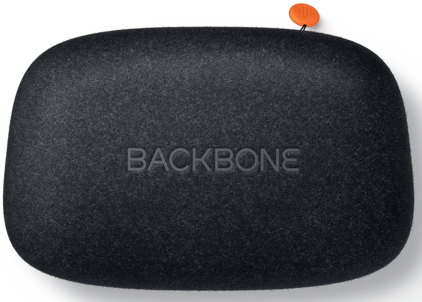BACKBONE Étui de transport pour Backbone One - Noir