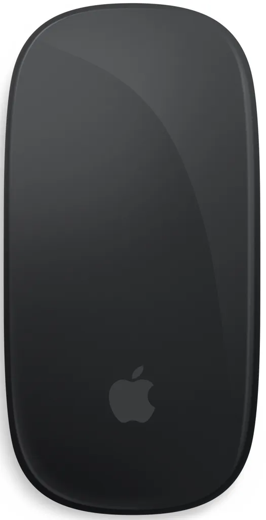 APPLE Souris sans fil Magic Mouse (USB-C) - Noir