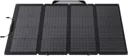 ECOFLOW Panneau solaire bifacial portable 220 W