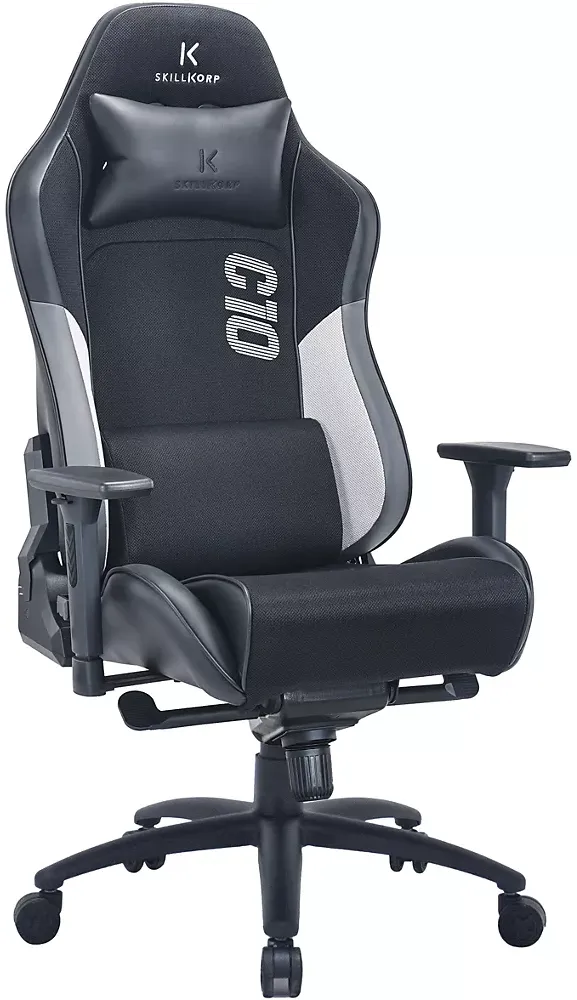 Fauteuil SKILLKORP C10