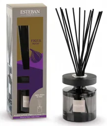 ESTEBAN Bouquet parfumé Ellipse Figue Noire