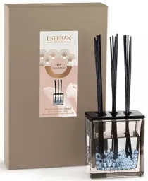 ESTEBAN Bouquet parfumé Triptyque Iris Cachemire