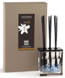 ESTEBAN Bouquet parfumé Triptyque Néroli
