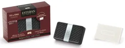 ESTEBAN Diffuseur de voiture rechargeable Teck et Tonka