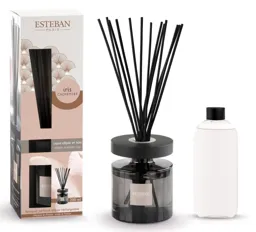 ESTEBAN Bouquet parfumé Ellipse Iris Cachemire
