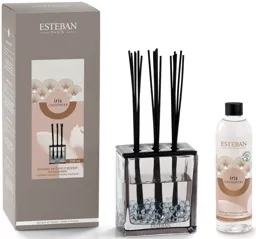 ESTEBAN Bouquet parfumé Triptyque - Iris Cachemire - 250ml