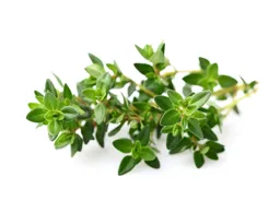 Click & Grow Recharge Smart Garden - Thym