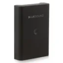 BLUESOUND Batterie pour enceinte Bluesound Pulse Flex