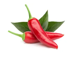 Click & Grow Recharge Smart Garden - Piment