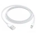 APPLE Câble Lightning vers USB pour iPhone, iPad, iPod - 1 m