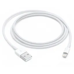 APPLE Câble Lightning vers USB pour iPhone, iPad, iPod - 1 m
