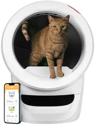 Litiere LITTER-ROBOT 4 blanche connectée
