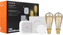 ESSENTIEL-B Pack ampoules connectées Découverte Filament Edison - E27