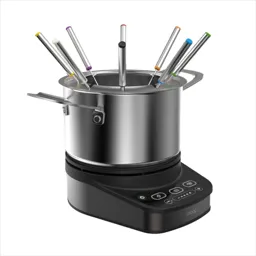 Fondue MIOGO MFE 1