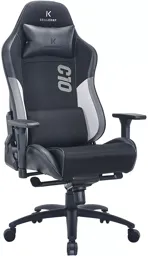Fauteuil SKILLKORP C10