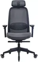 Fauteuil SKILLKORP C15 Ergo Noir Progres
